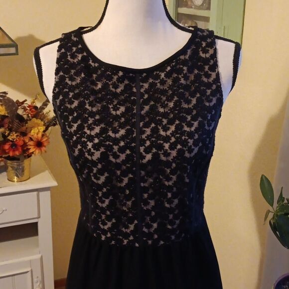 Loft Lace and Chiffon Skirt. Lace. Whimsigoth. Dressy - Picture 2 of 13